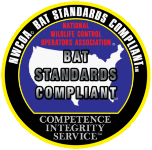 bat standards compliant