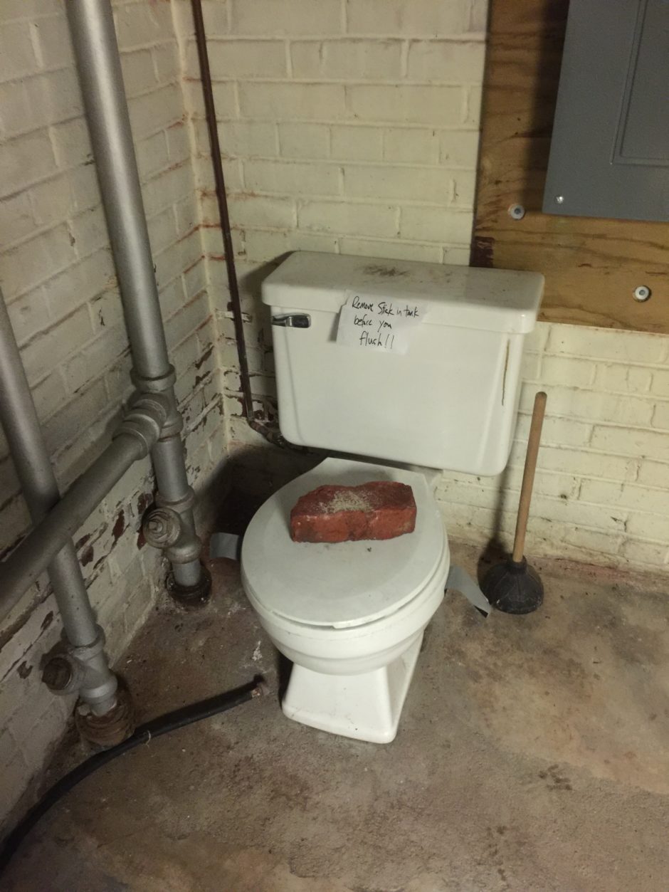 Rats In My Toilet, Richmond Rat Control Virginia Wildlife Removal